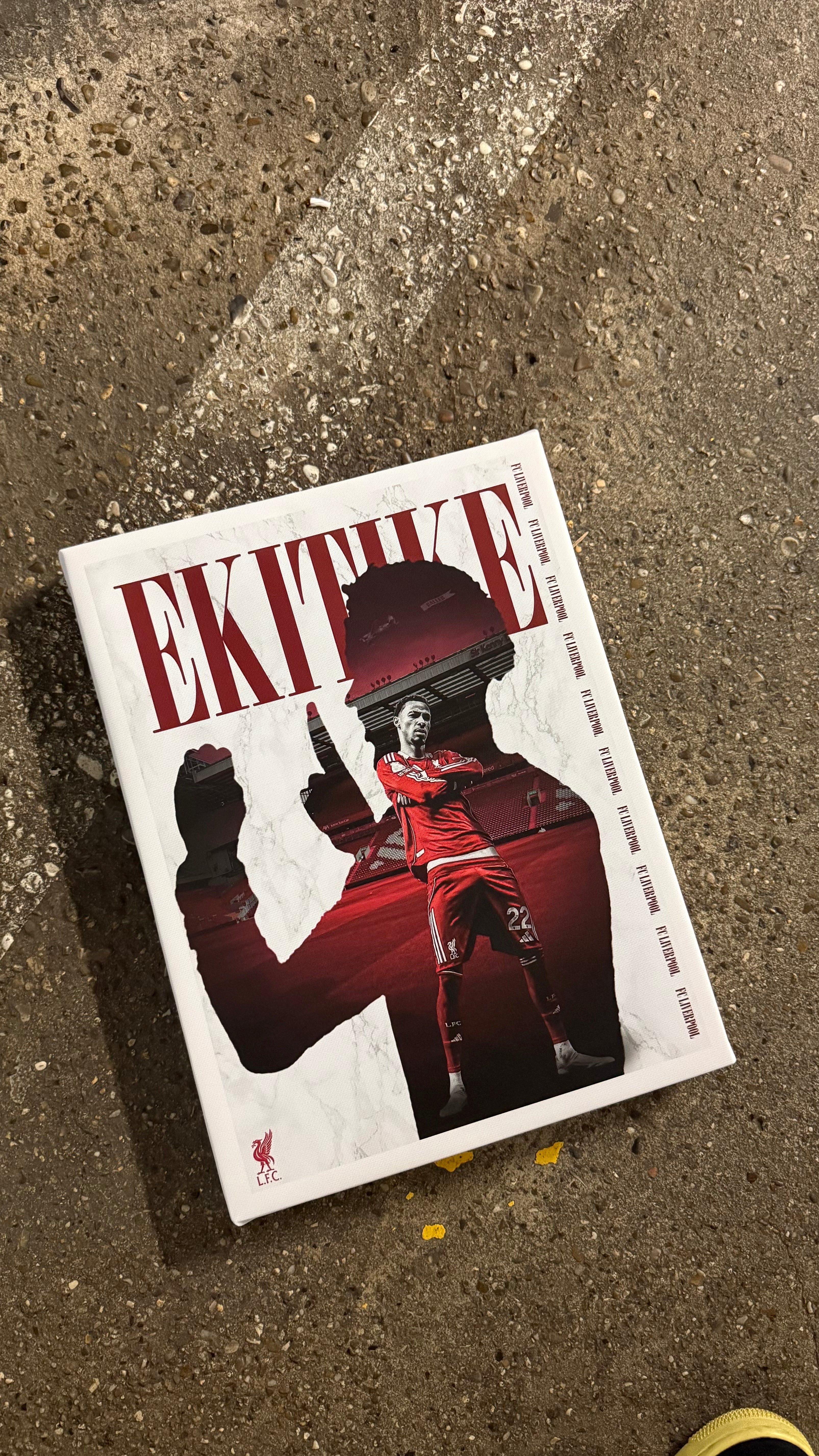 LIVERPOOL X EKITIKE CANVAS A3